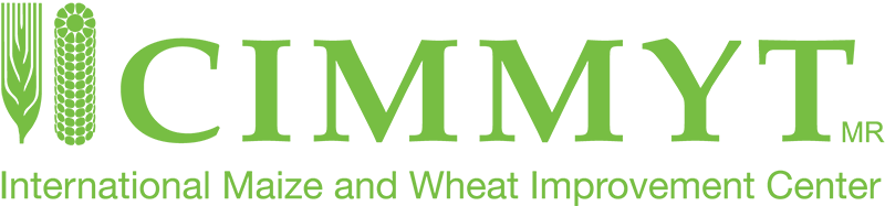 CIMMYT